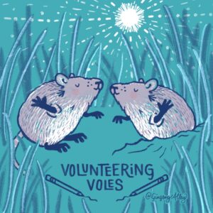 Volunteering Voles