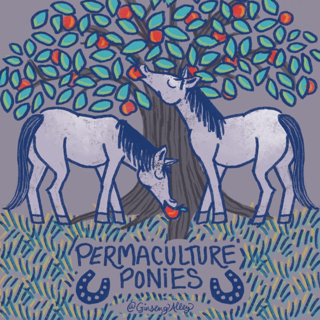 Permaculture Ponies