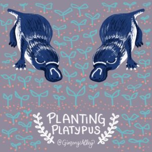 Planting Platypus