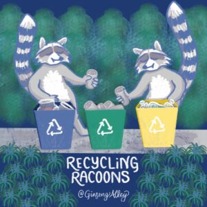 Recycling Racoons