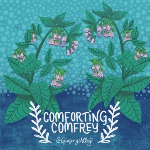 Comforting Comfrey