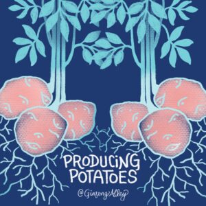 Producing Potatoes
